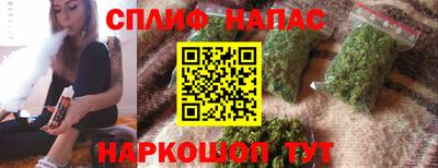 СК Моздок