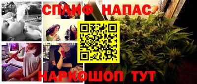 СК Моздок