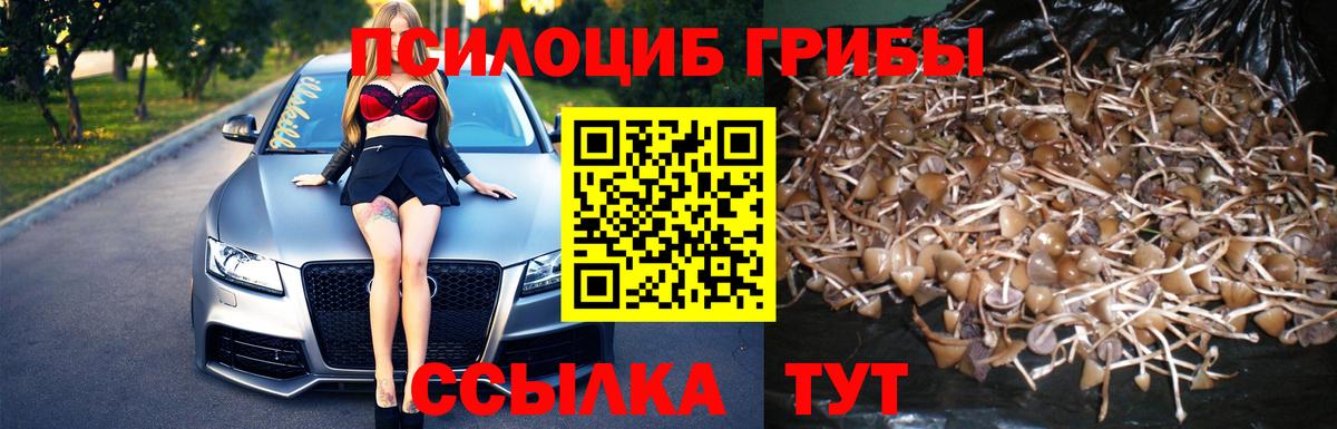 Псилоцибиновые грибы GOLDEN TEACHER Пенза